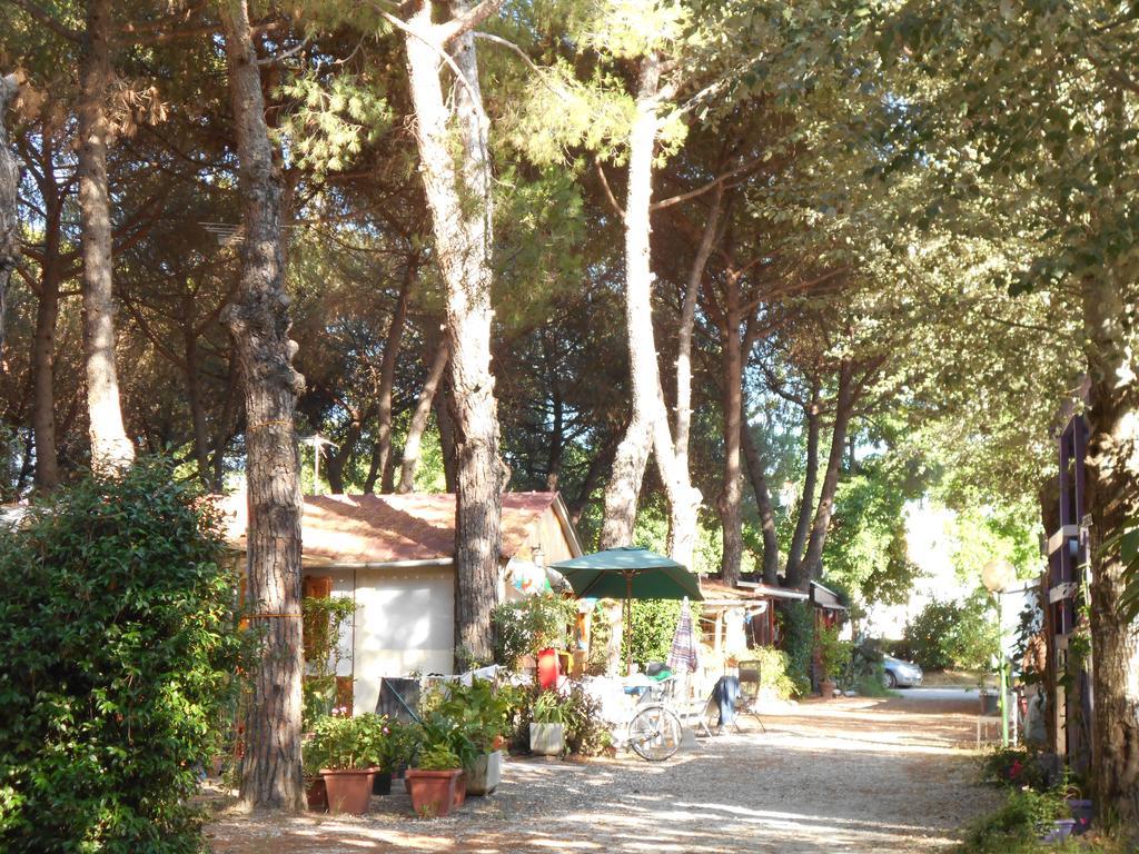 Iron Gate Marina3B Hotel Sarzana Exterior foto